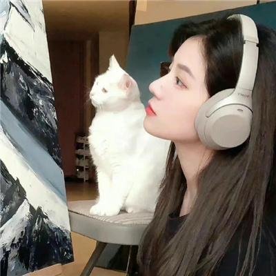 迷墙