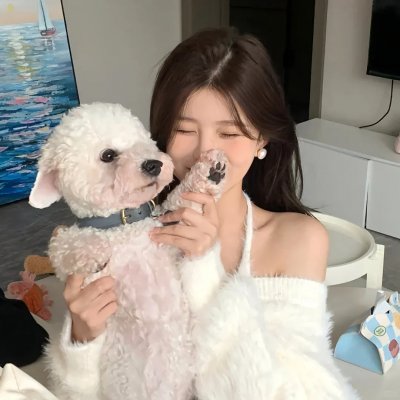 最佳女婿